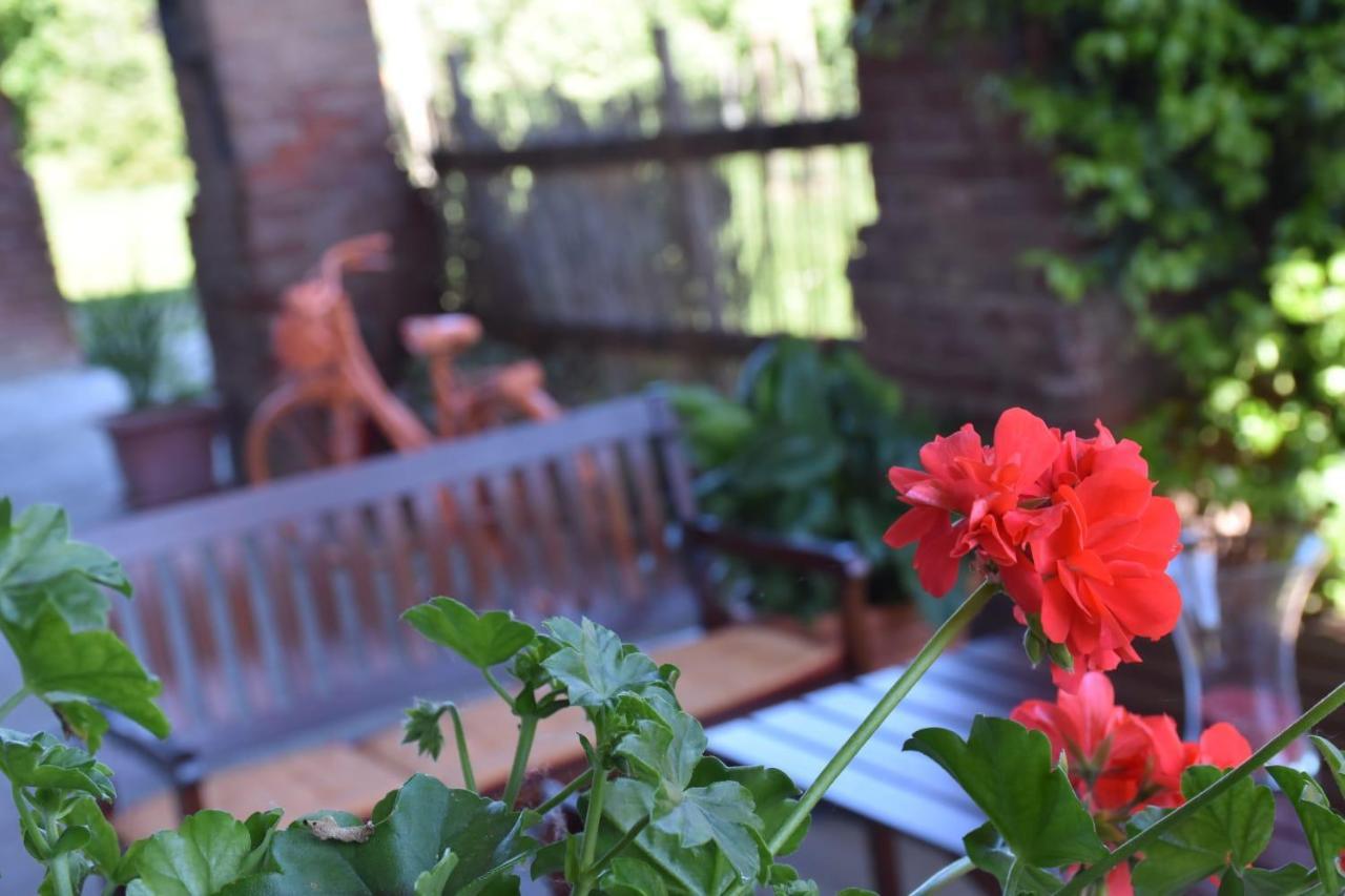 La Casa Di Enzo Bed and Breakfast Lequio Tanaro Eksteriør billede